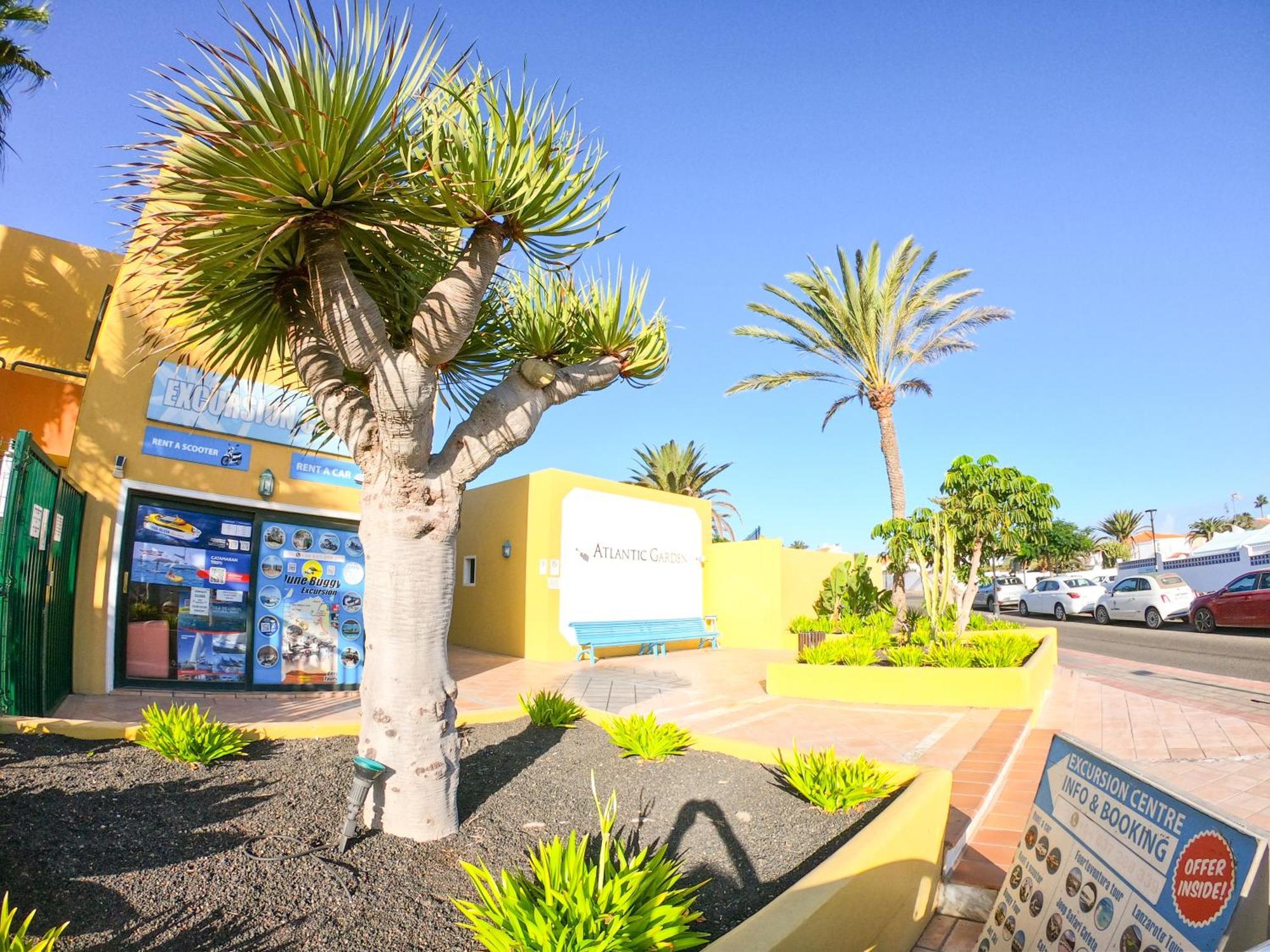 Drago 1 Atlantic Garden Apartment Corralejo Bagian luar foto
