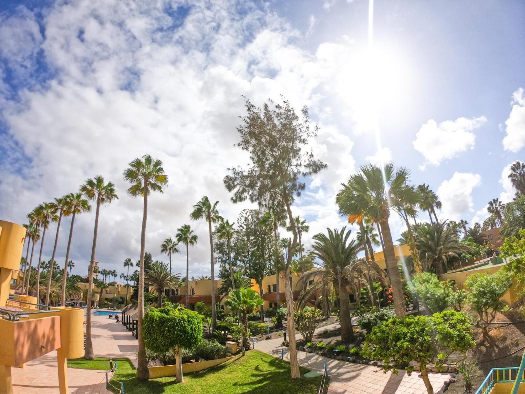 Drago 1 Atlantic Garden Apartment Corralejo Bagian luar foto